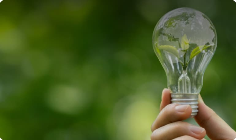 Hand holding a glass light bulb with a small green plant growing inside